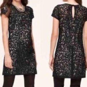 Loft black lace dress tie in back of neck size 4